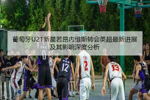 pu-tao-ya-xin-xing-ruo-ang-nei-wei-si-zhuan-hui-ying-chao-zui-xin-jin-zhan-ji-qi-ying-xiang-shen-du-fen-xi-2-317.jpg