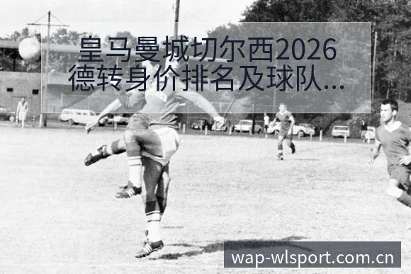 皇马曼城切尔西2026德转身价排名及球队价值变化技术特点 - 纬来体育